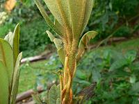 28-05-2007_11-54-36_97