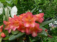 01-06-2006_10-01-21_28