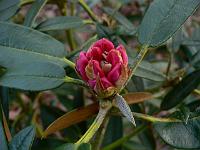 2011-04-07_18-02-34_0033