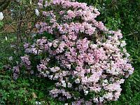 10-05-2006_07-11-36_166