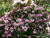 28-04-2007_10-40-11_95