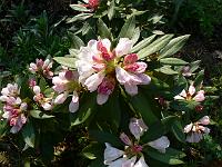 12-05-2006_18-07-48_47