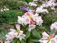 13-05-2006_10-52-02_149