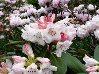 13-05-2006_10-52-10_151