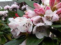 13-05-2006_10-52-21_154