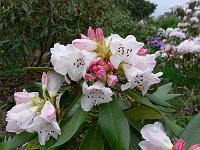 13-05-2006_15-07-23_18