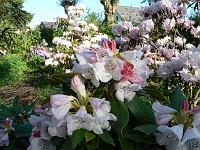 14-05-2006_08-25-45_216