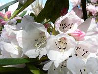 14-05-2006_11-33-44_111