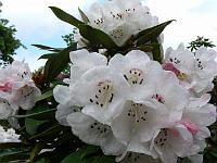 18-05-2006_17-38-33_204