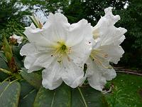 28-06-2006_12-52-24_76