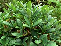 27-05-2006_18-29-55_17