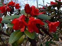 2011-04-27_16-20-12_0166