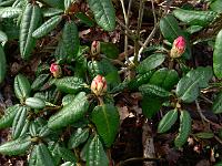 2011-04-01_08-14-50_0010