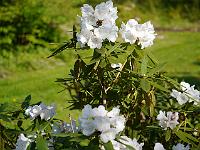 2014-04-27_08-42-15_0056