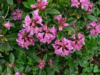 2009-06-11_09-14-53_0083