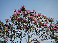 2012-04-02_07-55-00_0016