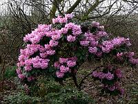 25-04-2006_08-25-15_57