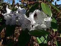 2011-04-18_07-34-53_0052