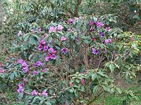 19-04-2006_08-21-41_106