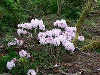 11-05-2007_09-36-23_105