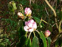 18-04-2006_08-53-55_72