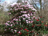 17-04-2006_15-03-19_17