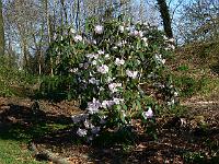 2011-04-18_07-33-06_0043