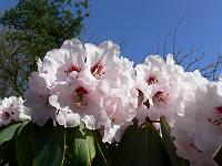 24-04-2006_17-53-10_75