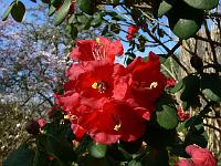 13-04-2007_10-02-29_59