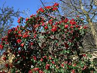 2011-04-10_08-52-54_0140