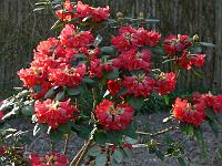 28-04-2006_08-22-30_10