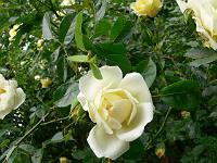 28-06-2006_12-47-07_04