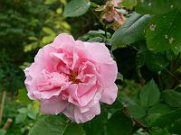 25-06-2006_19-53-43_74