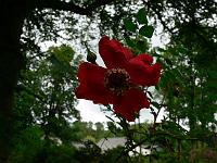 2010-06-19_11-11-25_0035