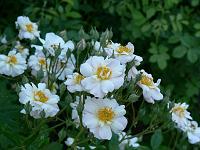 04-07-2006_08-48-55_98