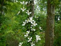 2012-06-07_09-07-34_0001