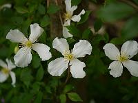 2012-06-07_09-08-21_0014