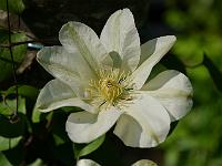 2012-05-23_14-56-48_0073