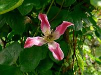 10-07-2007_17-42-00_82