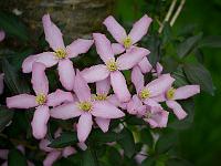 2012-05-26_17-18-50_0127