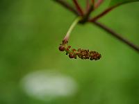 2014-06-21_09-20-16_0085