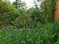 2011-05-26_19-03-23_0082