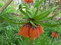 15-05-2006_10-11-26_37