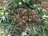 08-04-2006_15-51-21_42