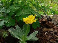 07-05-2007_10-46-21_22