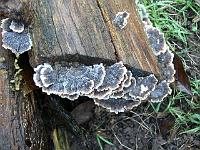 18-12-2006_12-04-08_14