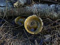 2010-08-19_08-41-23_0011