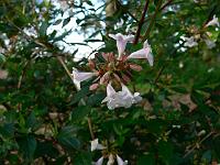 2008-09-01_07-32-29_0063