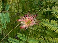 2010-09-10_17-04-29_0057