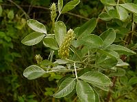 2013-06-27_18-36-17_0262